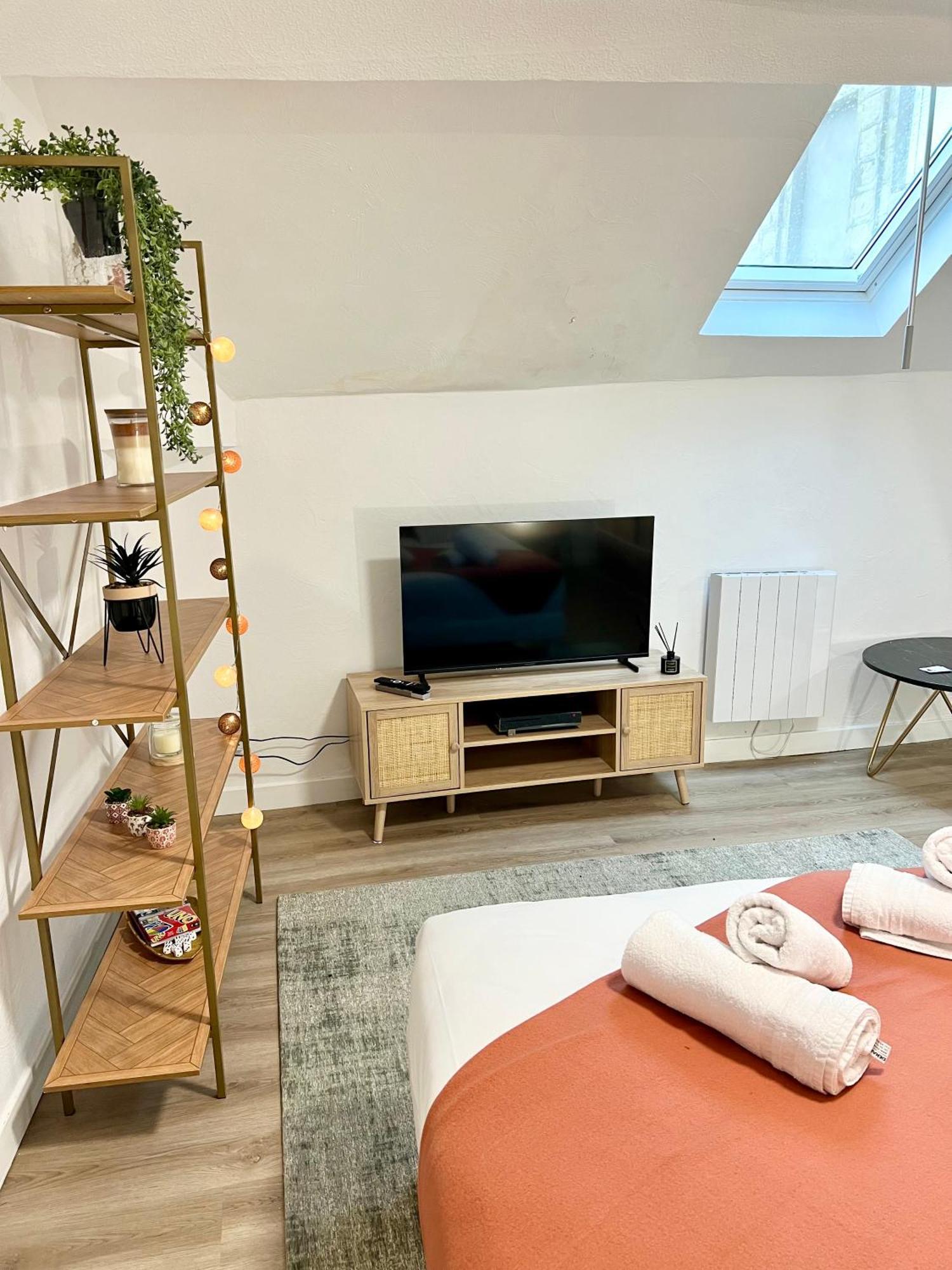 Le Nid Douillet Centre Ville Decize Exteriör bild